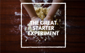 Where Does Wild Yeast Come From?