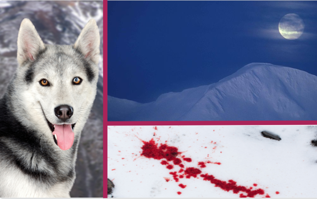 The Heart of the Sourdough, a Poem About the Wild Yukon