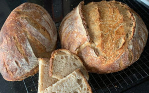 Sourdough Bread Baking Experiment for the Sourdough Challenge