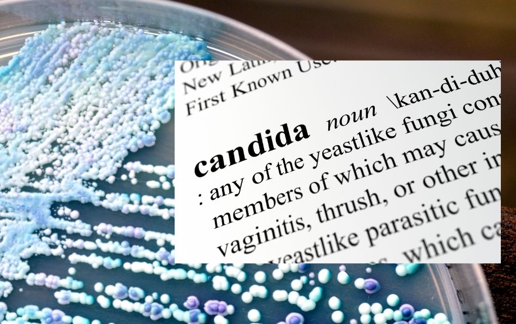How Sourdough Can Help With Candida