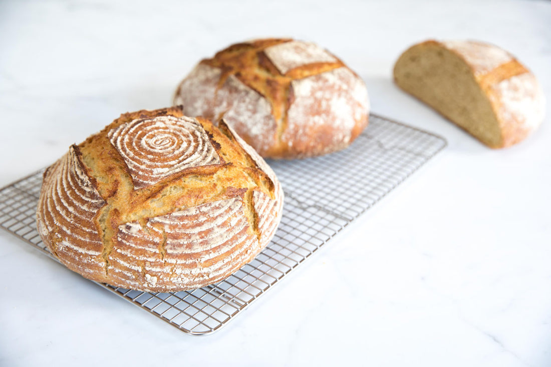 Einkorn— Ancient Grain for Sourdough Bread