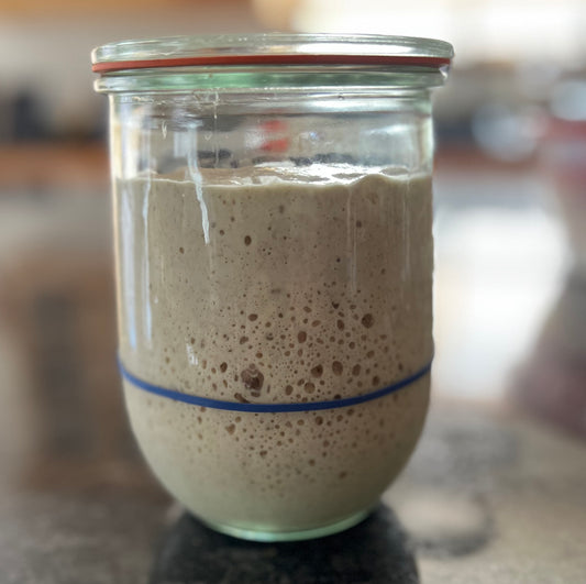 Reinvigorating and Strengthening Sourdough Starters