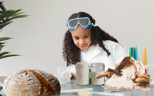 The Science of Sourdough