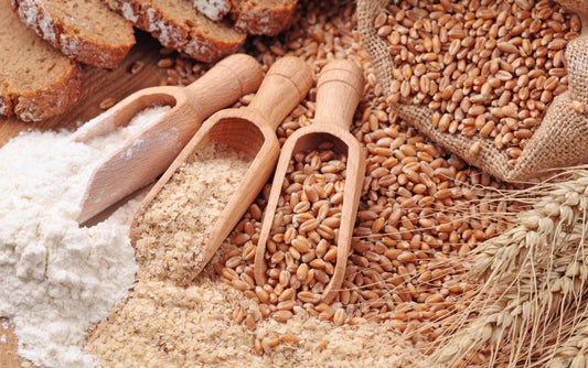 Why Sourdough Bread is a Nutritional Powerhouse