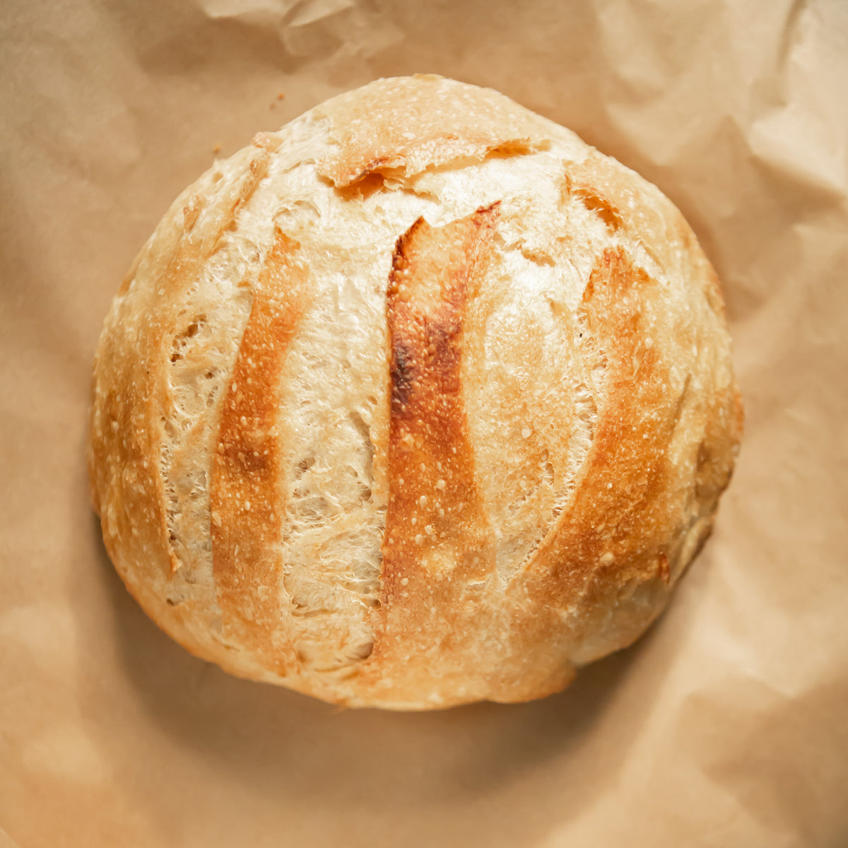 Abigail’s Oven shipped bread box
