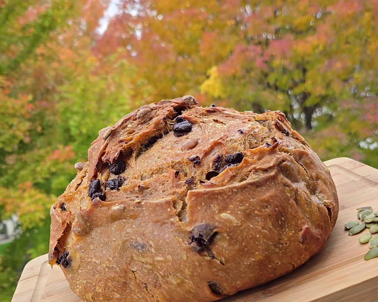 Pumpkin Chocolate Chip Sourdough